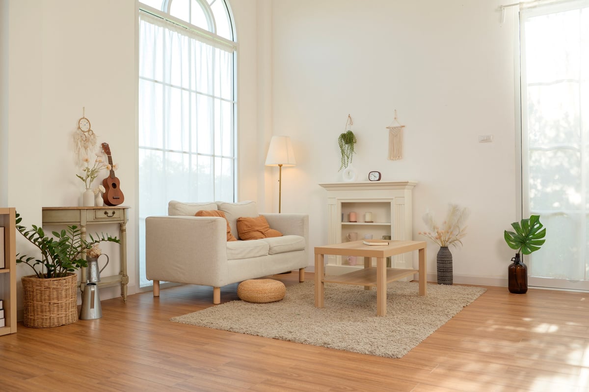 Bright Brooklyn apartment living room after professional cleaning